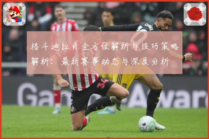 格斗迪拉肖全方位解析与技巧策略解析：最新赛事动态与深度分析