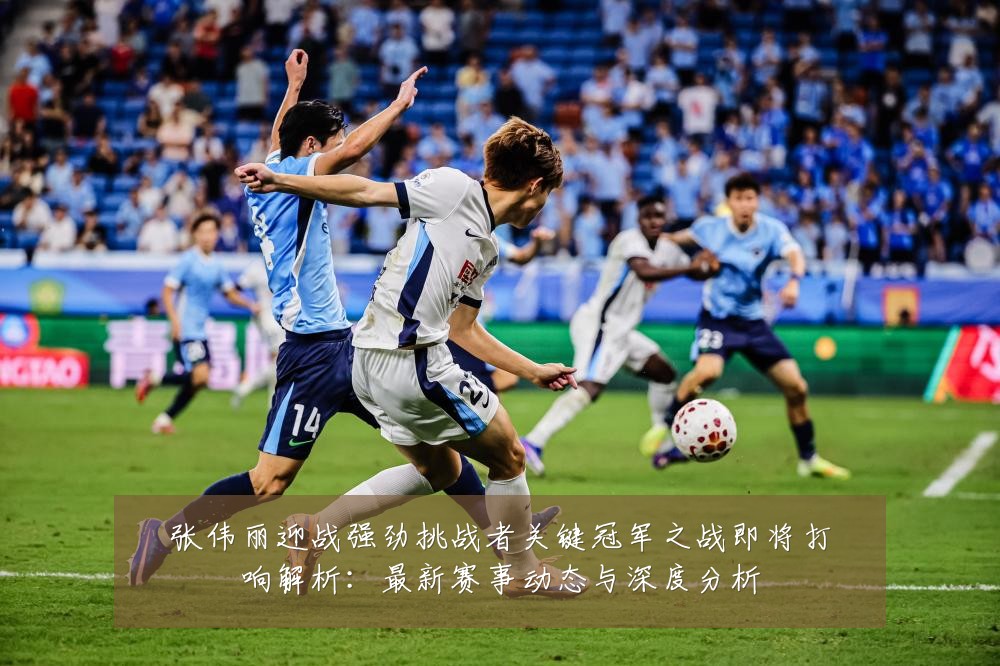 张伟丽迎战强劲挑战者关键冠军之战即将打响解析：最新赛事动态与深度分析